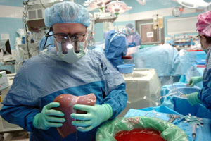 Transplanting Too Soon